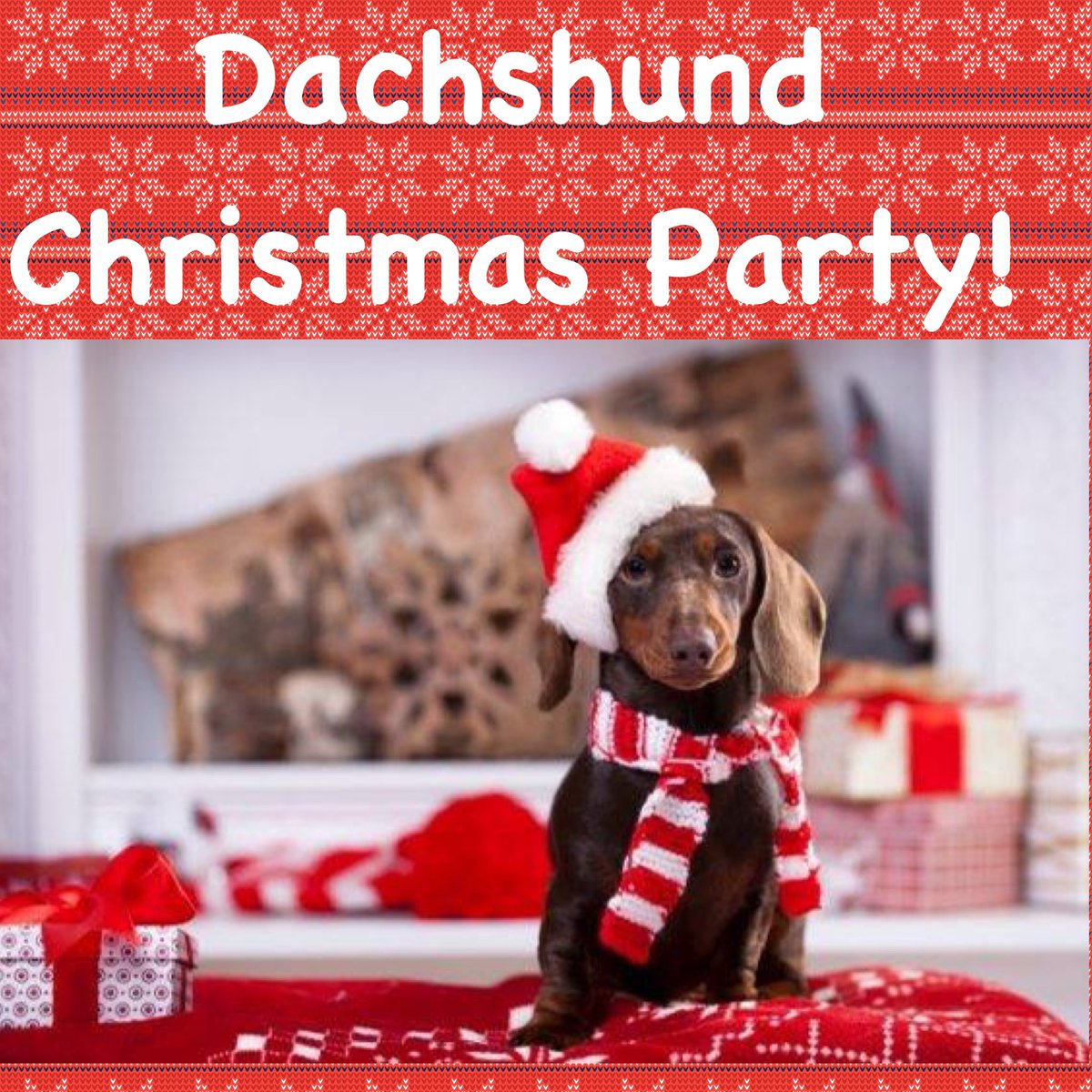 DachshundsSW's tweet photo. DACHSHUND CHRISTMAS PARTY 
🎈🥳 🎅
2pm #Goonhavern Village Hall 16th December❄️ Please like &amp; RT with your daxie friends and like our #fb page https://t.co/C0SGHOI2Dm 
❤️THANK YOU! 😘 
#christmasparty #dachshund #sausagedog #party #dogparty #pawty #goonhavern #dogfriendly https://t.co/HdNlVUj4YS