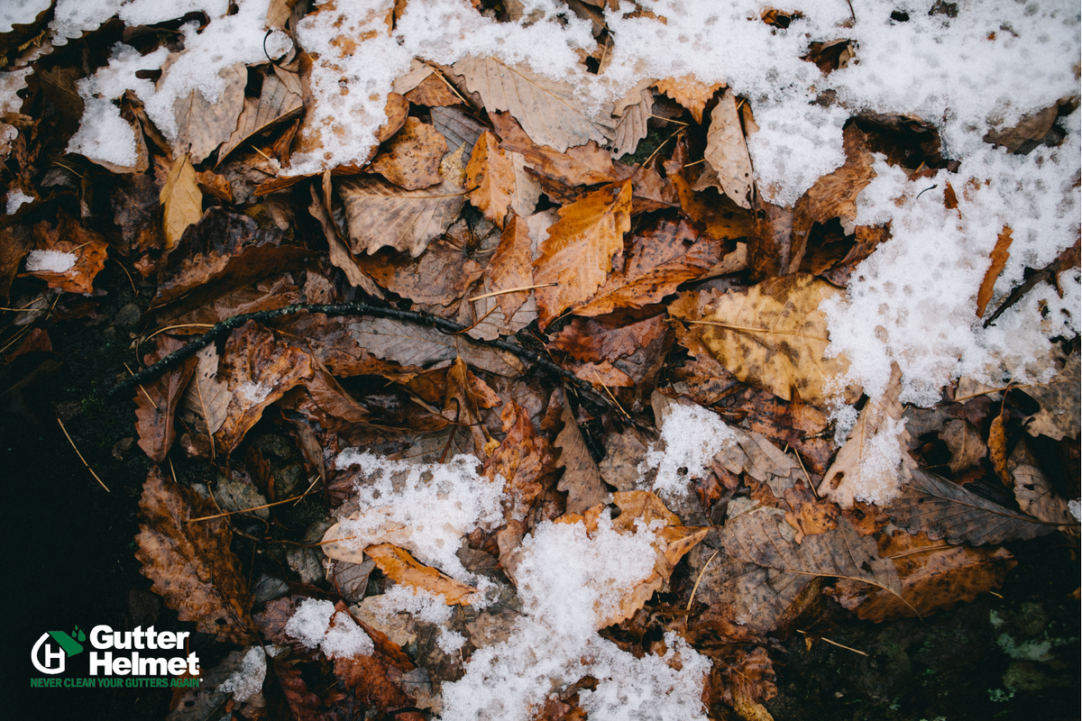 GutterHelmetMN's tweet photo. Just because all the leaves have already fallen, doesn't mean they can't keep causing damage. Soggy leaves and other debris in your gutter will block water and cause major damages to your home. Keep your gutters flowing, get Gutter Helmet’s protection. https://t.co/J2x05O6DLB