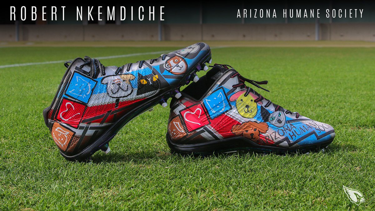 Robert Nkemdiche loves pets and takes time to volunteer at the animal shelter and adopt them. 

<a href="/Thelegendmerlyn/">Robert Nkemdiche</a> will be representing <a href="/azhumane/">Arizona Humane Society</a> with his #MyCauseMyCleats.