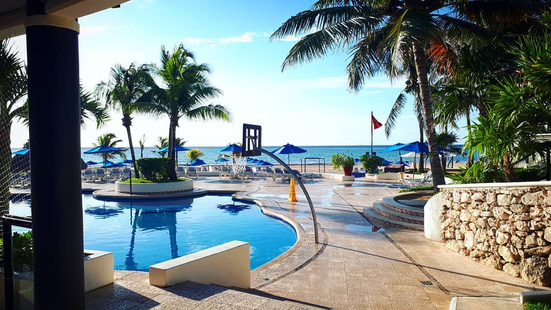 The Reef Playacar tweet media