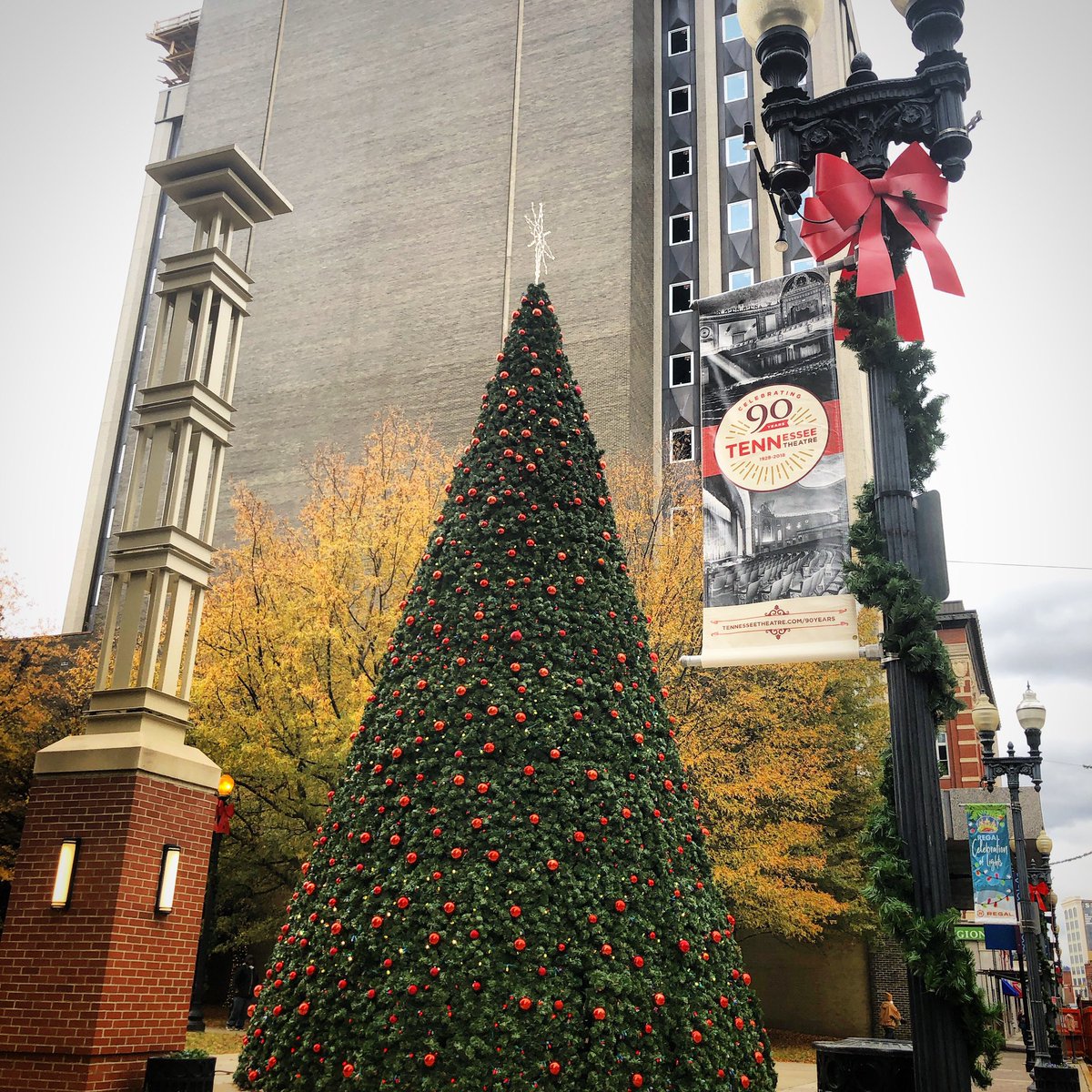 KnoxWeekend's tweet image. It’s the most wonderful time of the year! 🎄🌟 #KDUB #SurvivingTheHolidaysknoxville