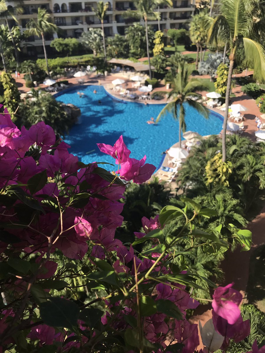 LeadingConcierg's tweet photo. Amazing day in #PuertoValIarta don’t miss the opportunity to visit us and enjoy #ThePerfectWeather #PropertyConcierge #VacationRentals #VisitPuertoVallarta #HappyTuesday https://t.co/5ad8EG7EFy