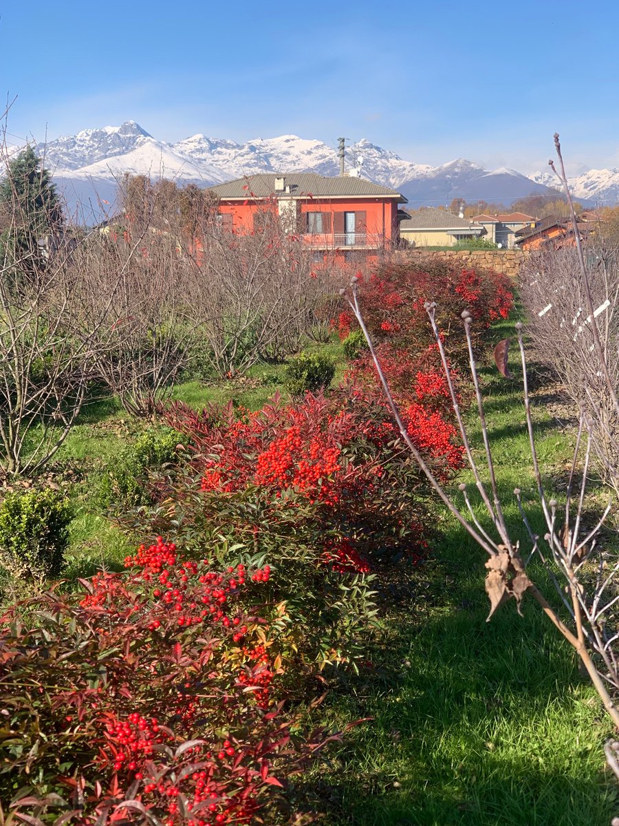 BruceBigPlant's tweet photo. Choosing plants in northern Italy today. Picture postcard beautiful. https://t.co/XdcDl2dXYZ