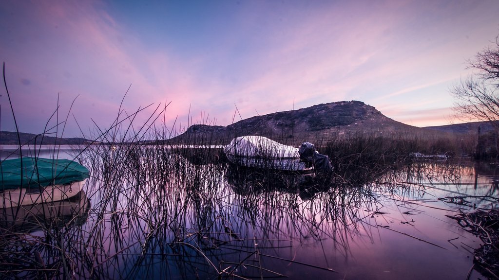 Laguna Brava is a nature reserve created in 1980 for the preservation of vicuñas and guanacos, which were endangered species.
#argentina #buenosaires #visitargentina #lifeinargentina #DocLifestyle #Doctor #DoctorsWife #MedLife #MedicalFamily #Travel #LoveLife #PrescriptionTravel