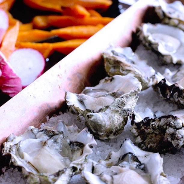 sipbitego's tweet image. Chablis and Chadonnay pair beautifully with fresh, raw oysters. 🍸 @TheSoloClub #TheSoloClub #nwportland #nwpdx #foodblogger #gourmetmeal #luxuryblogger #travelblogger #creativepreneur #lickyourphone #foodphotography #pdxfood #pdxeats #pdxdining #pdxr… bit.ly/2SzySI3