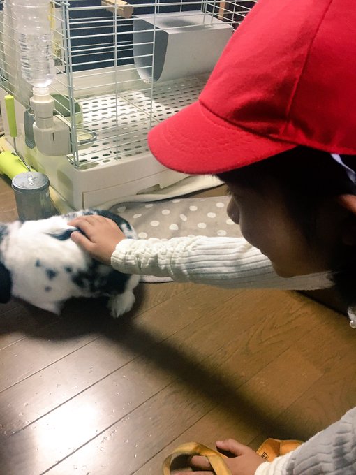 Twitterのコスプレ画像6