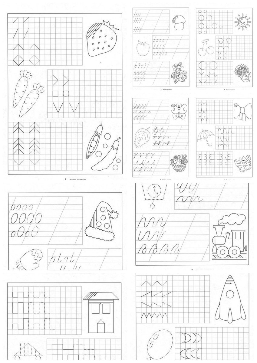 pdf gauge fields introduction