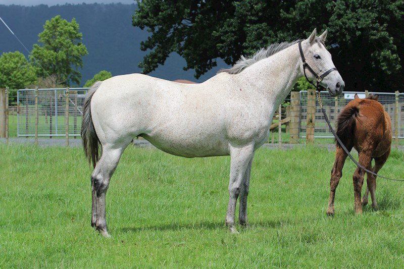 Gavelhouse (gavelhouse) Twitter