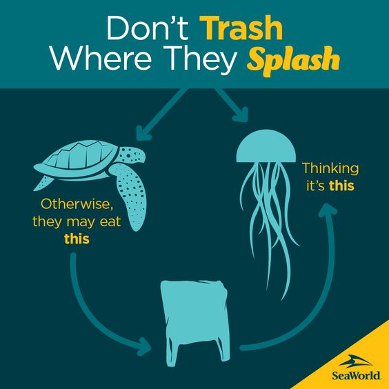 NC_NCP0's tweet photo. #DesplastificandoAndoNC #MedioAmbiente https://t.co/hHHxVFiyLI