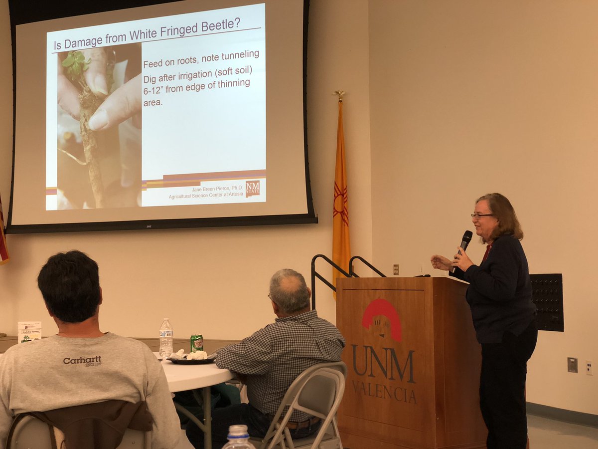 NMSUNatalieG's tweet photo. More excellent talks this afternoon at the Valencia Co. forage workshop by NMSU Faculty (Jane Pierce, Ext. Entomologist, Leonard Lauriault, Forage Agronomist, Mark Marsalis, Ext. Forage Specialist and Leslie Beck, Ext. Weed Specialist. #NMSUaces #NMCoopExt https://t.co/PJGahayz5V