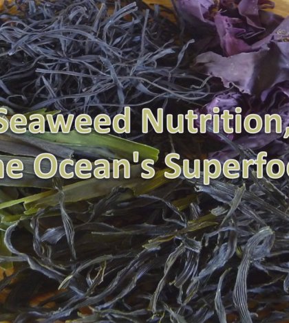 naturaloncom's tweet photo. Seaweed: An Ocean Superfood For Better Health Video https://t.co/kEx9ZeD0RO #superfood #health #seaweed #healthyfood #health #video #healthyfoods https://t.co/V1j69WrROK