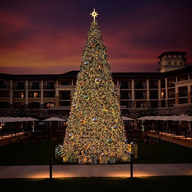 Visit Napa Valley tweet media