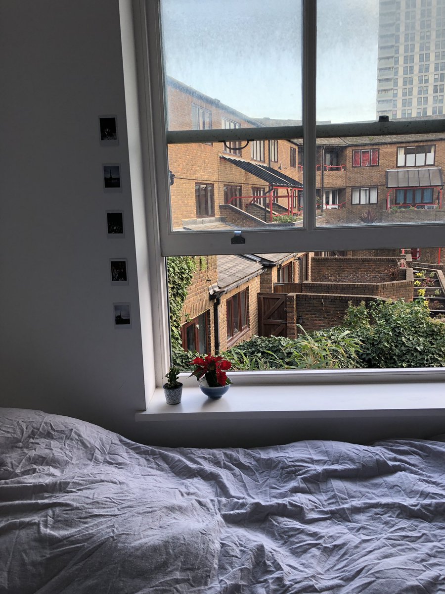 SaraOsZ's tweet photo. My christmas is dying. I mean my plant is dying. Google says it needs 6 hours of sunlight a day. Im dying too then. I saw the sun 8 days ago. #winterinlondon https://t.co/b0kN8GMewr