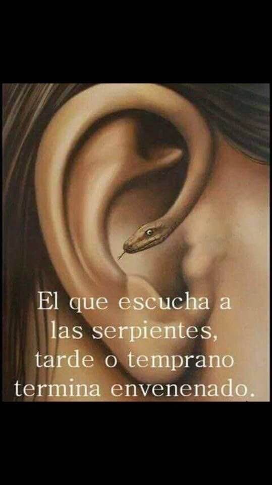 77Yareth's tweet photo. #elqueescucha https://t.co/C9YqMJbWa1