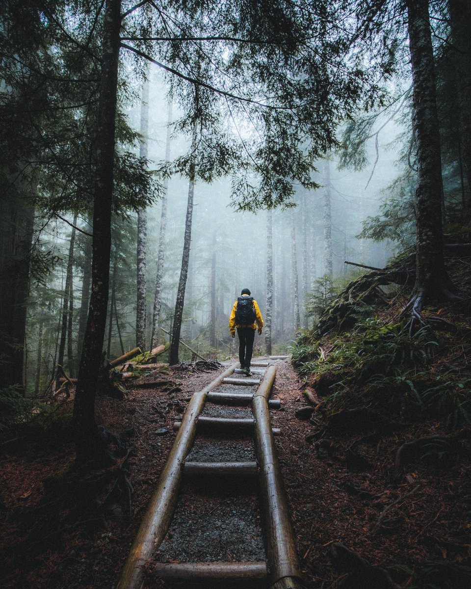 earth's tweet photo. Let’s get lost in the fog. https://t.co/ZGVy6h0XIT