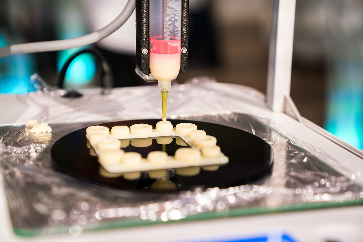 printinthemix's tweet photo. 3D Printing Technology: The New Era for Food Customization - https://t.co/xHJCsnBvqM

@TWTBondy @ritSMS @RIT_artdesign https://t.co/5mTZRcb7YN