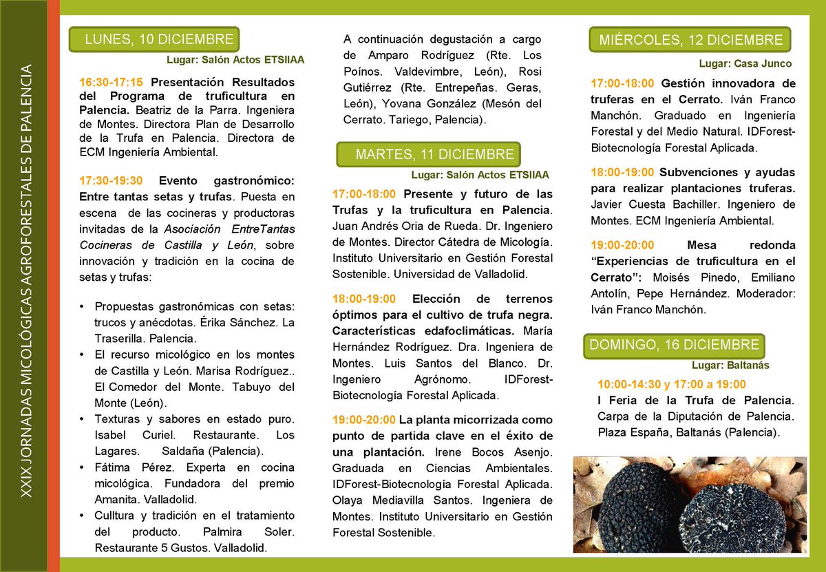 La próxima semana, aprenderemos todo sobre #trufas en #Palencia. Entrada libre. ¡No os lo perdáis! 
 #setas #hongos #tuber #trufanegra <a href="/diputacionPalen/">Diputación de Palencia</a> <a href="/YoungForesters/">iuFOR UVa-INIA</a> <a href="/IDForest/">IDForest</a> <a href="/ECMfungi/">ECM</a> <a href="/entretantascyl/">Entretantas Cocinera</a> <a href="/ETSIIAAPalencia/">ETSIIAA Palencia</a> <a href="/ETSIIAA/">E.T.S.II.AA Palencia</a> <a href="/UVa_es/">Gabinete de Comunicación Universidad de Valladolid</a> <a href="/palenciahoy/">Palencia Hoy</a> <a href="/BMPalencia/">Palencia ModelForest</a> <a href="/PalenciaTurismo/">Palencia Turismo</a>