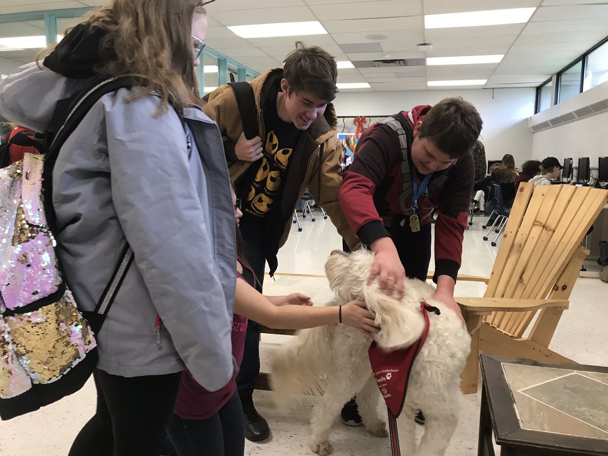 AMSSLibrary's tweet image. Dogs make everything better! #pettherapy