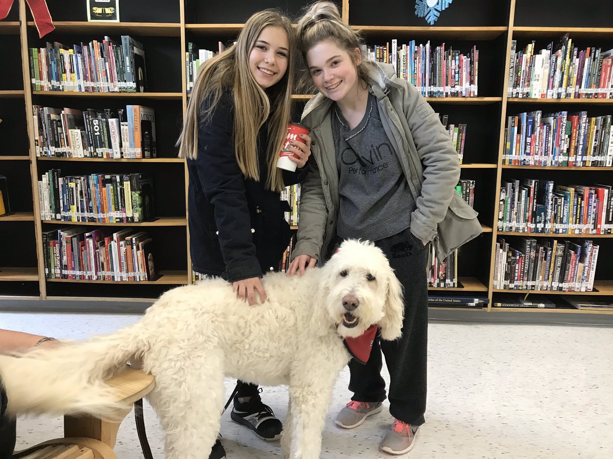 AMSSLibrary's tweet image. Dogs make everything better! #pettherapy