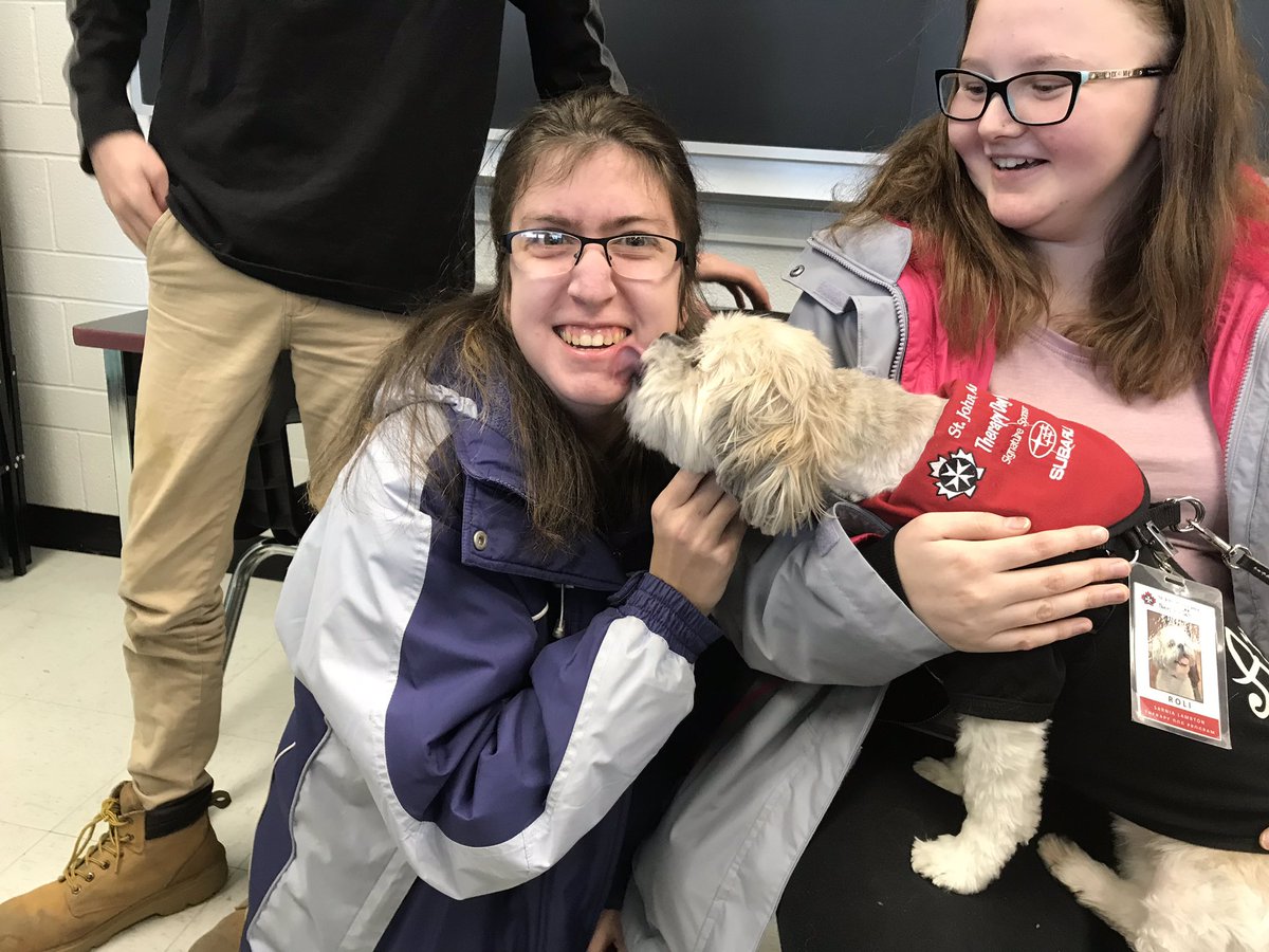 AMSSLibrary's tweet image. Dogs make everything better! #pettherapy