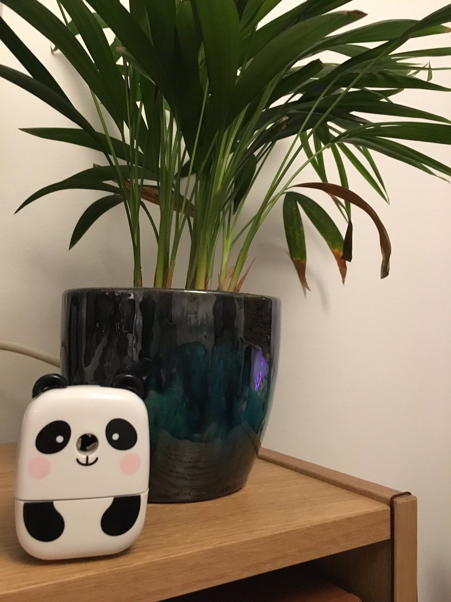 jojacob_uk's tweet image. I love my new pencil sharpener #homeworker #importantworkstuff