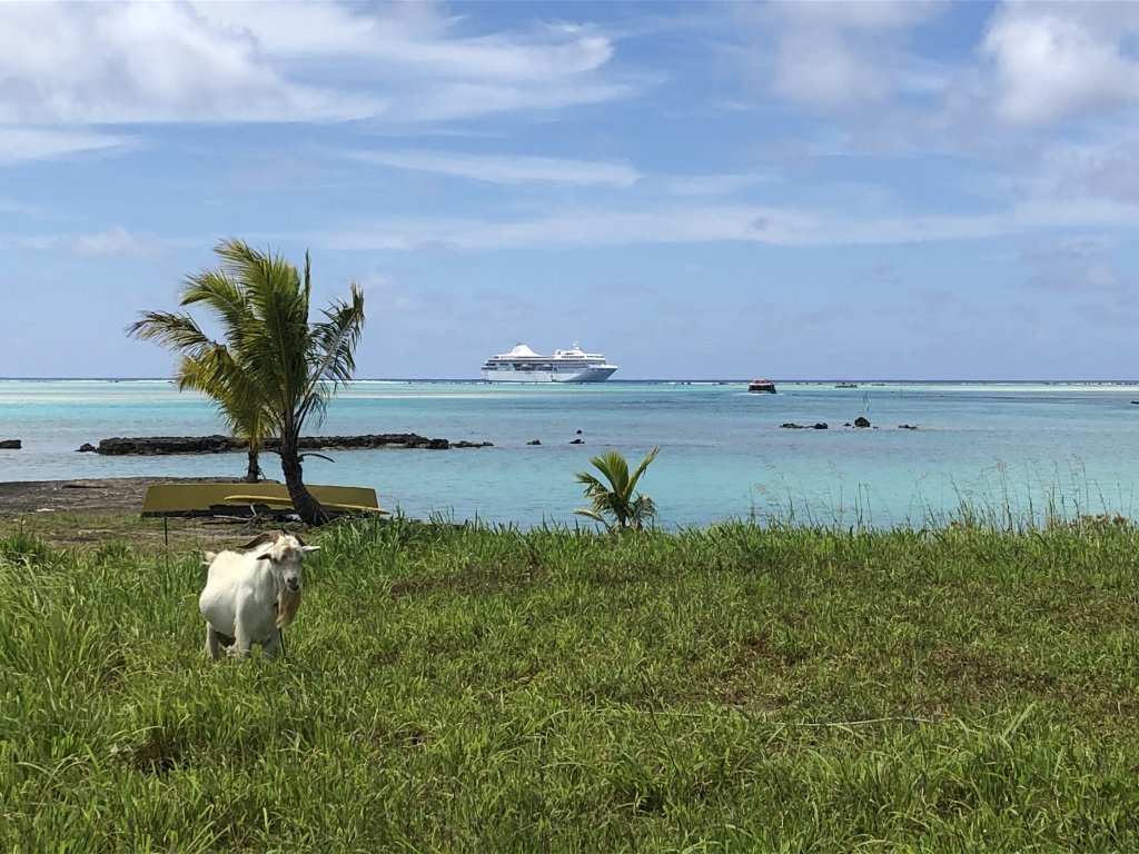 DanielaHarriso7's tweet photo. Check our my latest blog post: A South Pacific Paradise, with Paul Gauguin Cruises! #cruise #tahiti #vacation #paradise #ad #travel #traveladvisor #luxury https://t.co/pY62kKM4Y6 https://t.co/PEqJYUXBJr