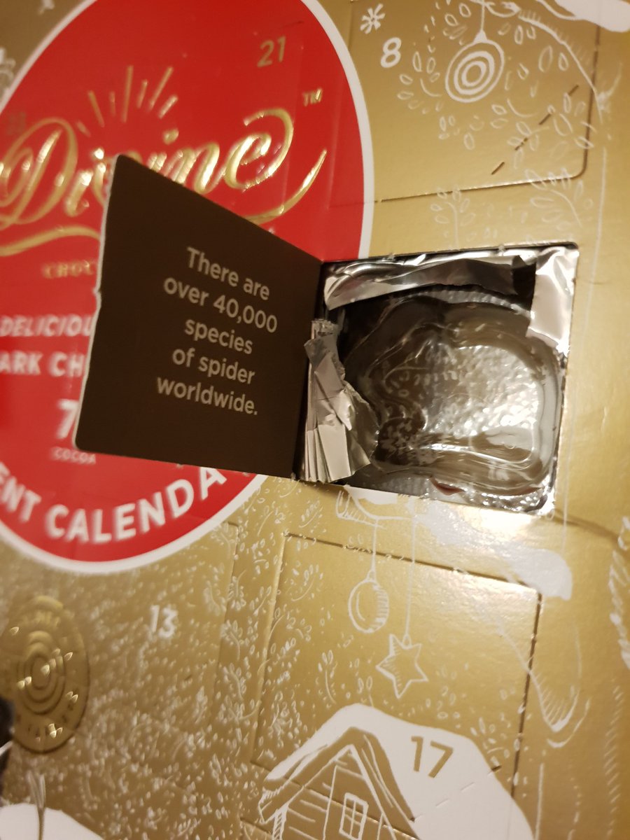 FiLoPastry89's tweet photo. Next year can I have an advent calendar about Jesus, @Nancylowe60 ? 
40,000 spiders?? I don't need this kind of negativity in my life 😂

#nativitynotnegativity https://t.co/9SBteSLnn8