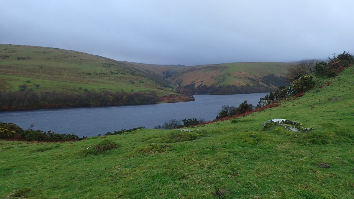 Olly Parry-Jones tweet media