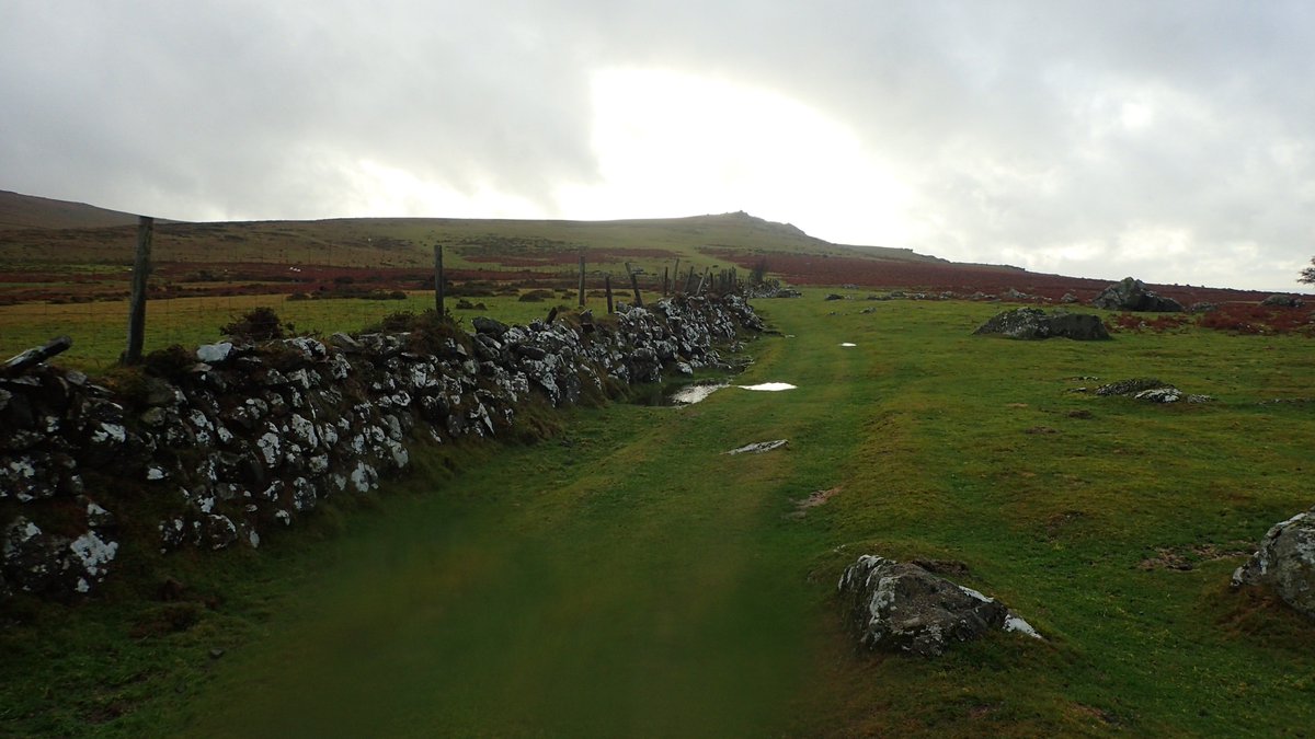 Olly Parry-Jones tweet media