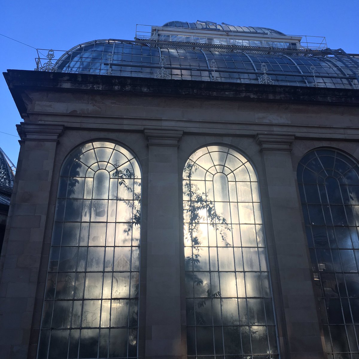 meadowmania's tweet photo. The Temperate Palm House is the tallest traditional Palm House in Britain, with a height of 21.95 metres @TheBotanics #edinburgh #rbgehort #botanics @scottishgdns https://t.co/299E0cb7De