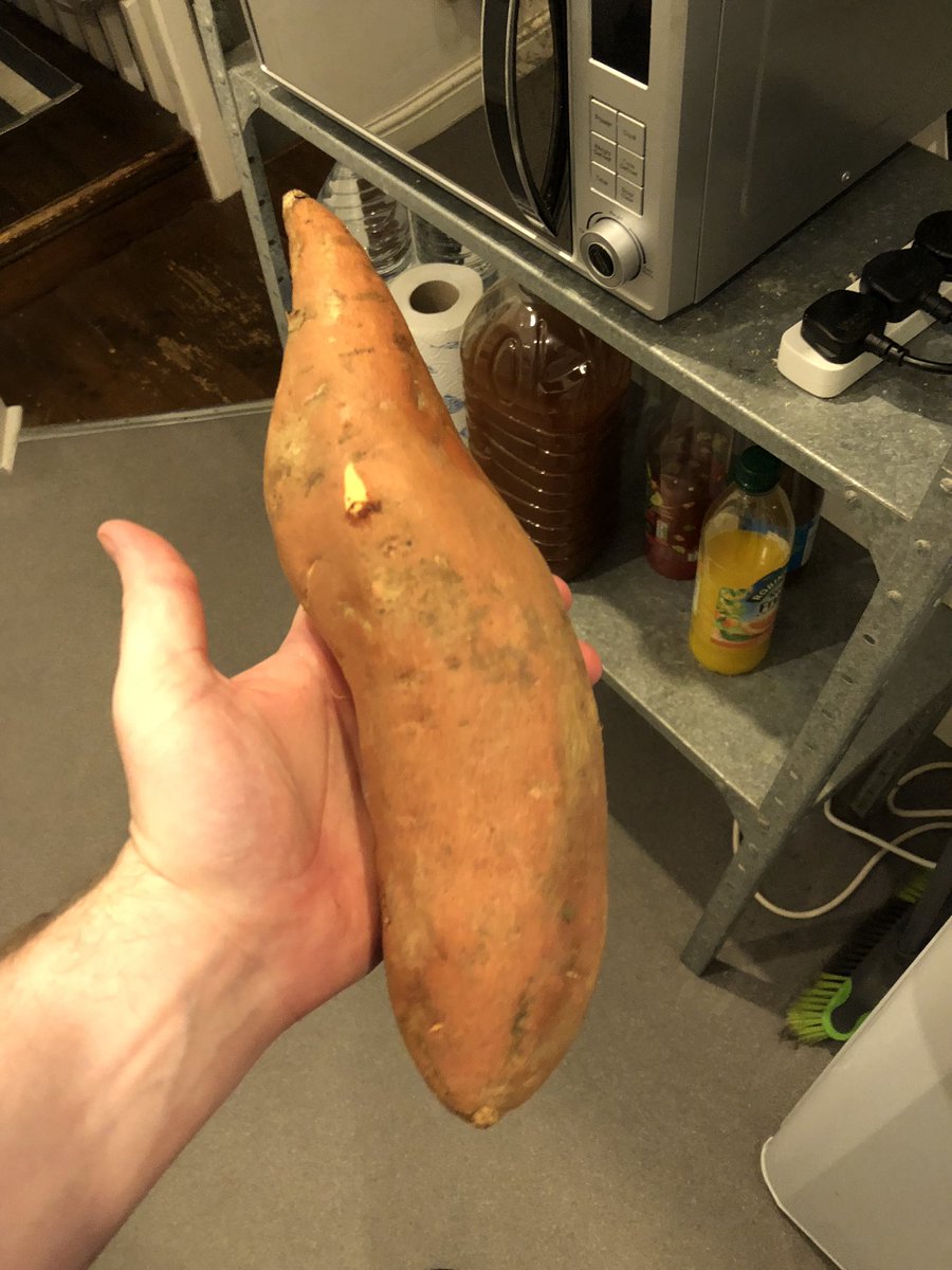 DoubleCheesus's tweet photo. Look how big this sweet potato is https://t.co/4XFJW4o5bT