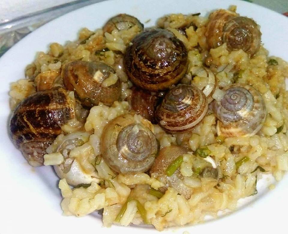 ecotourism_karp's tweet photo. Season's Dinner menu: Risotto with snails and anice!
#ecotourism_karpathos #localmenu #localfood #risotto #snails #anice #winter #likealocal #beresponsible #Greece #culinary_tours #travelling #greekislands #hiking #protectedareas #sustainabletourism #nature #instago #greektravel https://t.co/PxgeNcFNAw