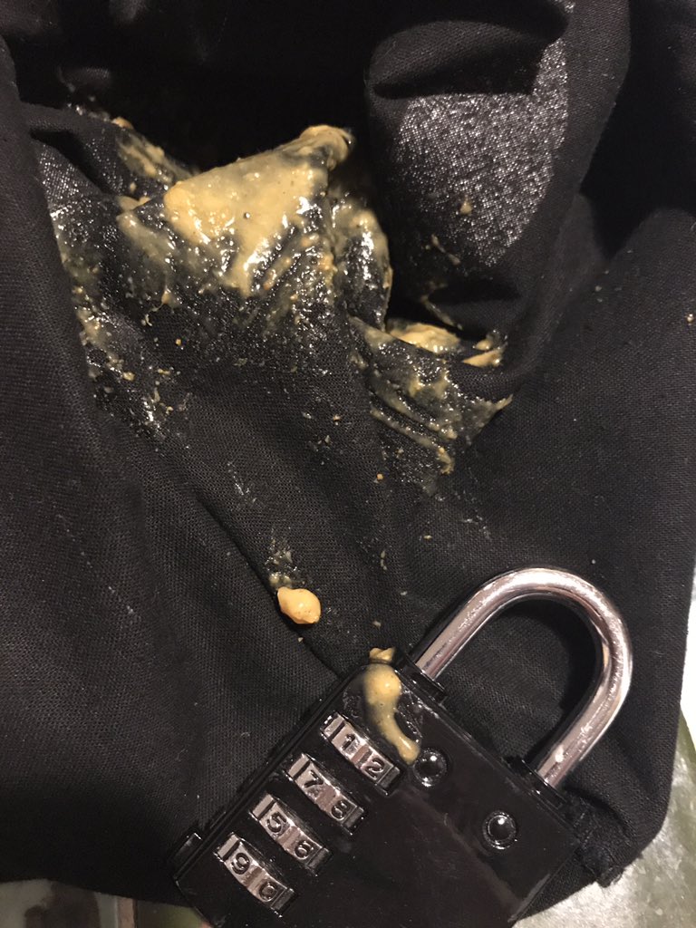 lizchezbra's tweet photo. @marksandspencer Agh it’s in my gym kit! It’s in EVERYTHING! Any advice for removing your delicious sauce from padlocks? M&amp;S you have made me cry this festive Tuesday. https://t.co/hAYl4ktr1z