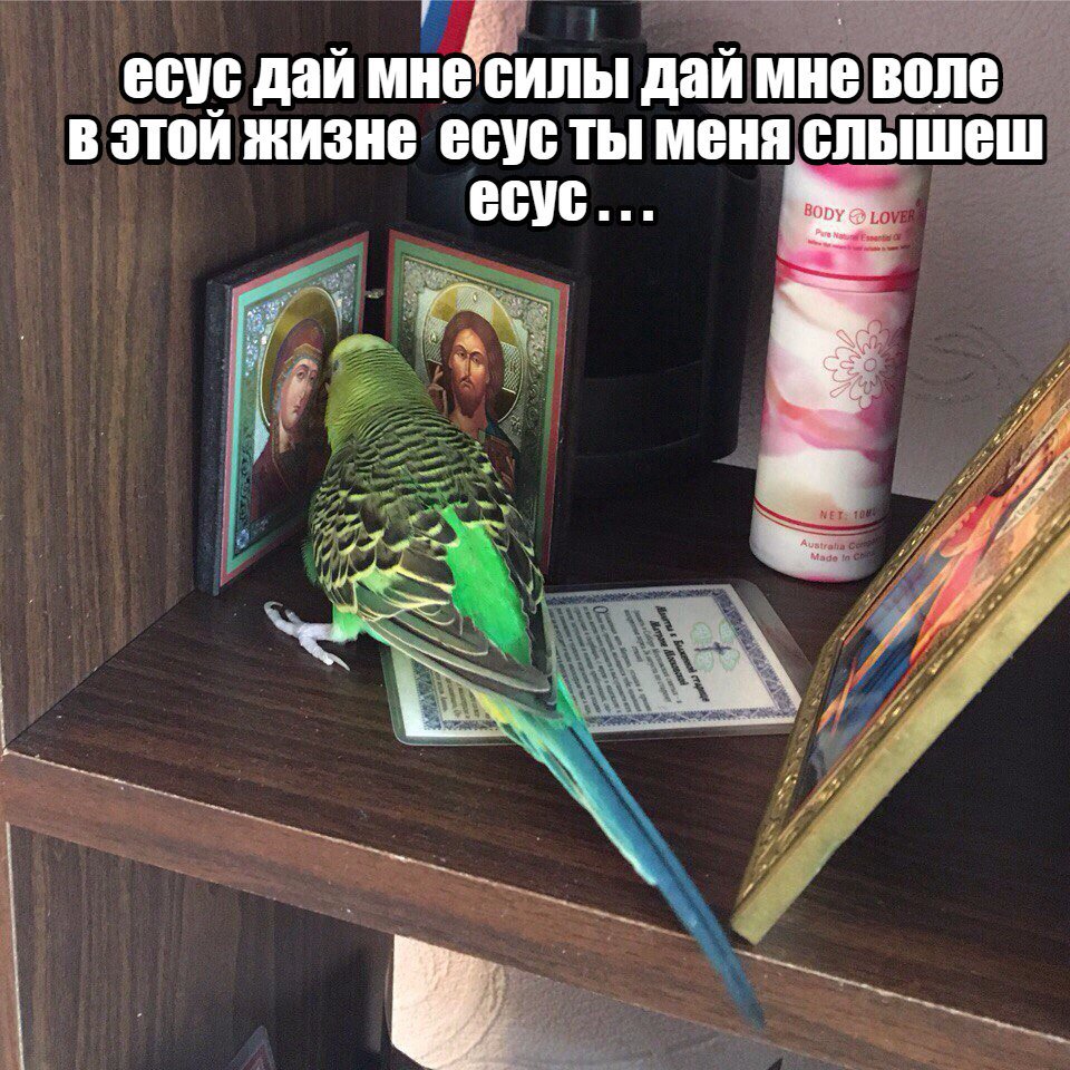 _Strange_0_0's tweet photo. @pornyourbrain ??? https://t.co/17f3oYg3LT