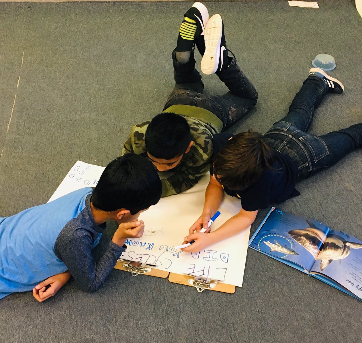 ShanLConnors's tweet photo. Jigsaw puzzle review for Animal Habitats &amp; Adaptations assessment @DenlowPS #engagedinlearning #everyoneplaysapart #gradefourlove https://t.co/Ihf85pCnkN