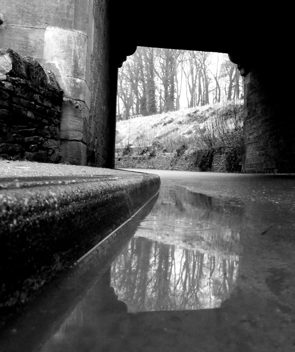 PointNShootPics's tweet photo. Best time of year for different shots like this! #Different #Photography #EyesToTheFloor #Puddle #Pitures #Reflection #Archway @SecretYorkshire @Yorkshire_IP @hiddenbradford https://t.co/1QGO1iUzjW