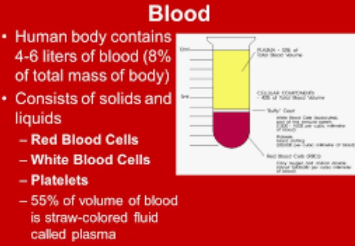 kanuraGB's tweet photo. @LionelYves @BBCNews @MaudJullien According on #FakenewsBBC, that tortured man blood has flown to the gutter.
Was that man a BEEF? too much blood to justify their allegations
#informBBC
These fakers suck in #Biology.
Given to the distance, the color of what the water, blood lives the resudues hard to clean. https://t.co/RCW8GfLlPj
