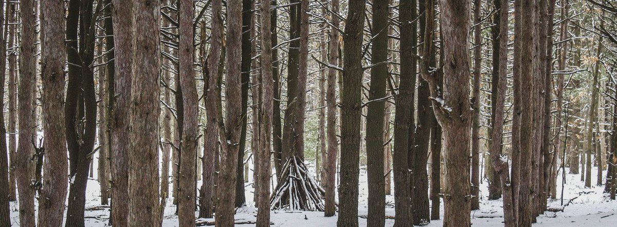 GilsonGraphics's tweet photo. Happy #December! Here's the photo from our 2018 Gilson Calendar (photo by Chelsea Blair). https://t.co/Px7DSZuN2G