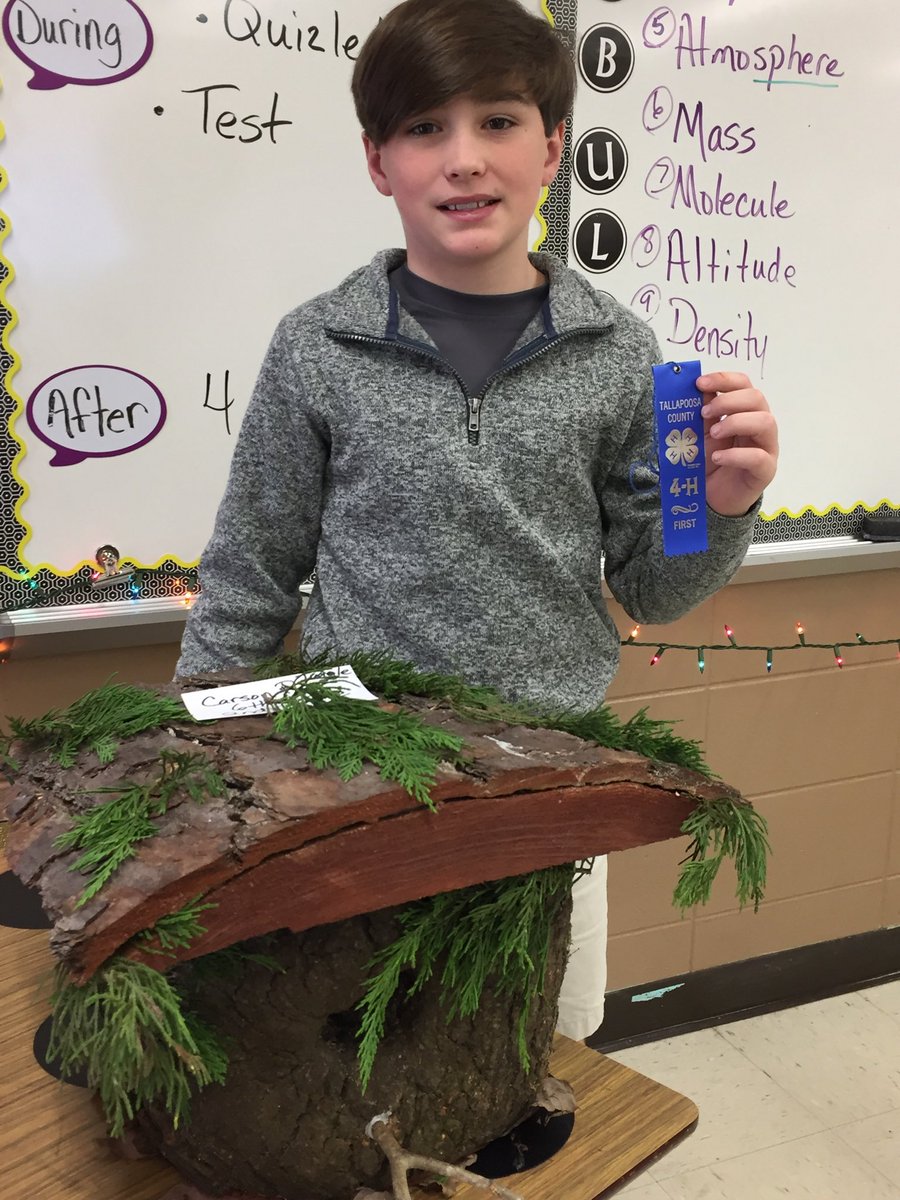 tug6thgrade's tweet photo. 2nd Block 4H Birdhouse design winner! https://t.co/eJCXl7hHXw