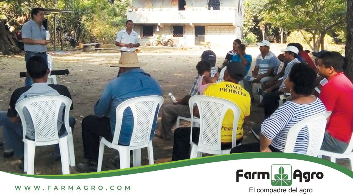 FarmagroEc's tweet photo. Capacitando y asesorando a nuestros agricultores en Colimes, con nuestros productos #Tempano, #Nunchaku y #Trueke.
#ELCompadreDelAgro https://t.co/B77F3d5vip