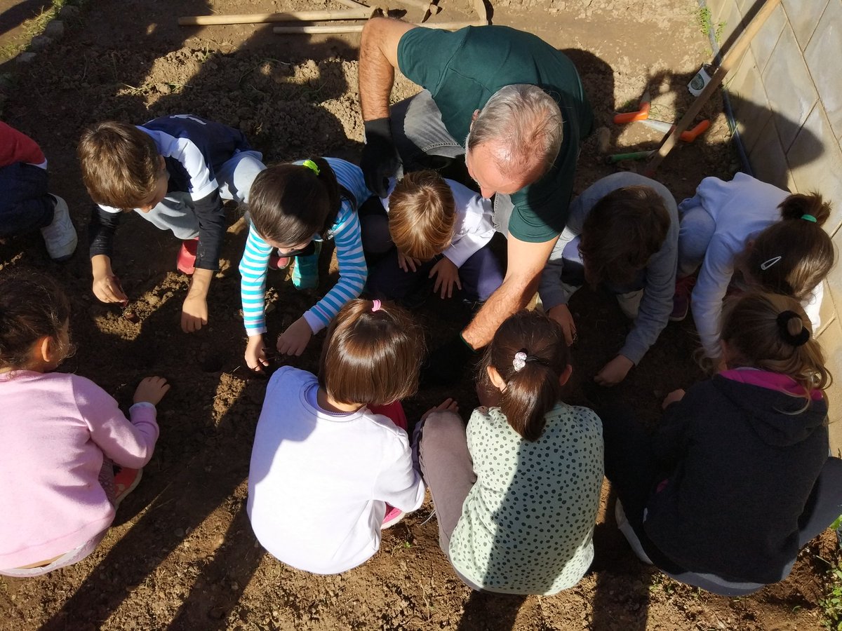 anitamaciasm's tweet photo. Han estado en el huerto de nuevo plantando remolacha. Han conocido las técnicas para sembrar. Y a partir de ahora deberan poner en práctica los cuidados diarios https://t.co/vRBCBpEHIt