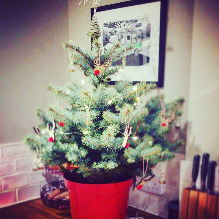 We got the trees yoooo #Stroud #ChristmasTree #christmastrees #winstones #winstonesicecream