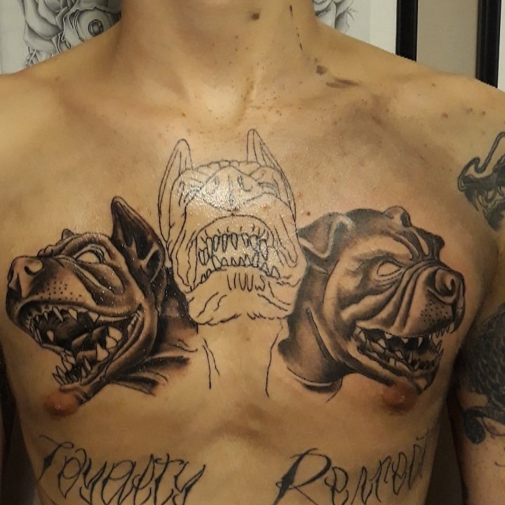 My Cerberus Tattoo Plan on getting Dionysus and Lernie the Bone Hydra  sometime soon  rHadesTheGame