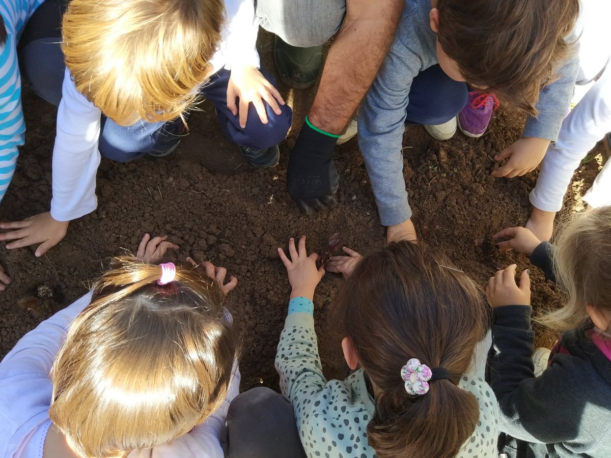 anitamaciasm's tweet photo. Han estado en el huerto, plantando remolacha utilizando las técnicas para sembrar. Y de ahora en adelante deberán poner en práctica los cuidados diarios. #PRACTICA3B2018 https://t.co/luMx9CeJZ5