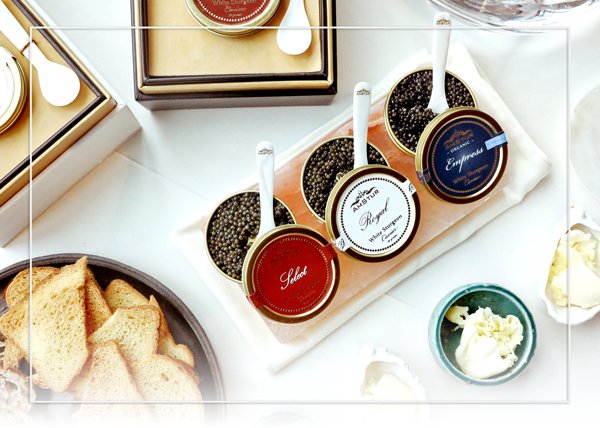 AmSturCaviar's tweet photo. Holiday Promotion! - https://t.co/KzARqmB5nG https://t.co/lnDy1tI1dw