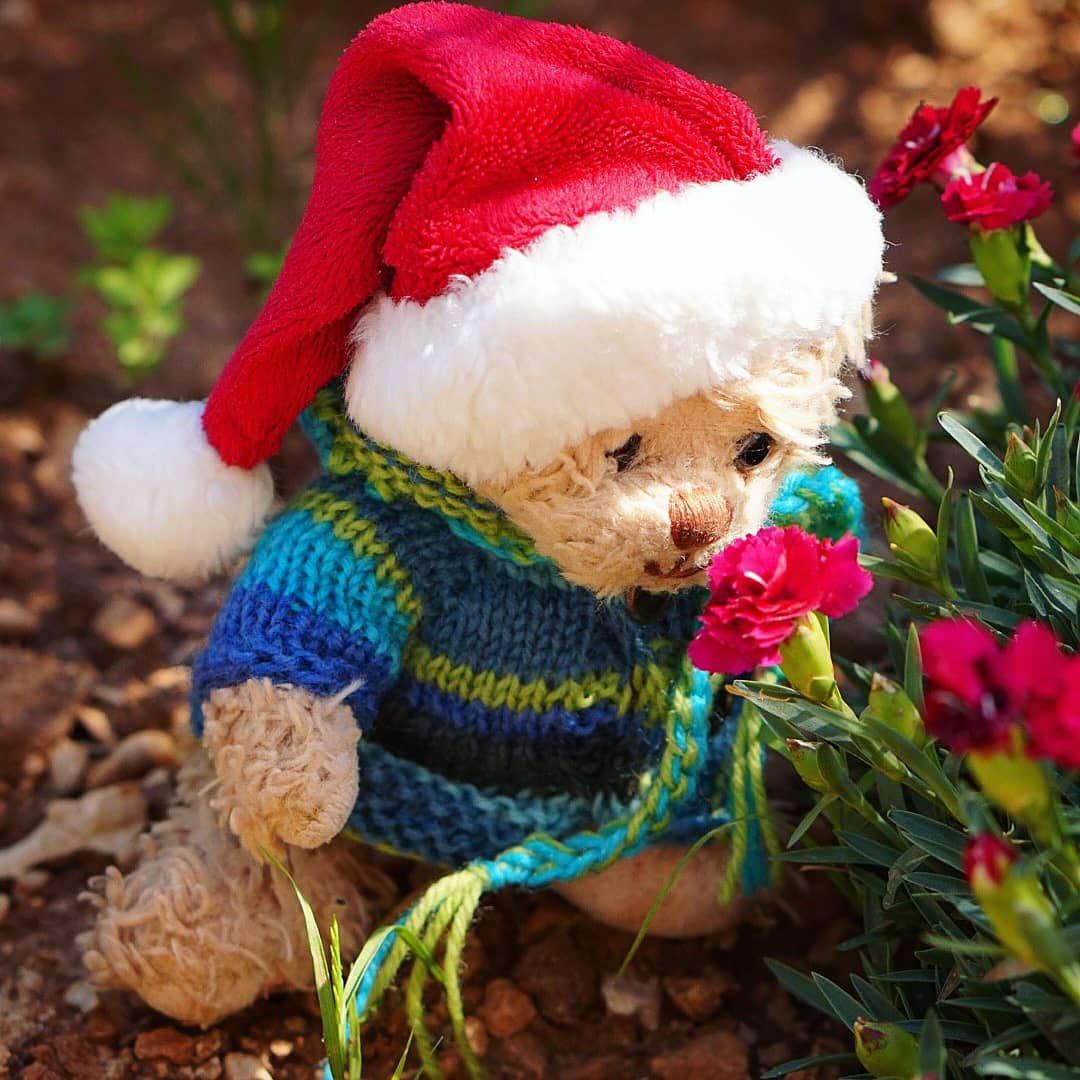bubithebear's tweet photo. "Flowers always make people better, happier, and more helpful. They are sunshine, food and medicine for the soul." by Luther Burbank
https://t.co/jJ4lTfly3i
#losinj #go2losinj #croatiafulloflife #losinjmoments #golosinj #bubithebear
#travelpic #travelideas #traveling https://t.co/0fraCp25Ng