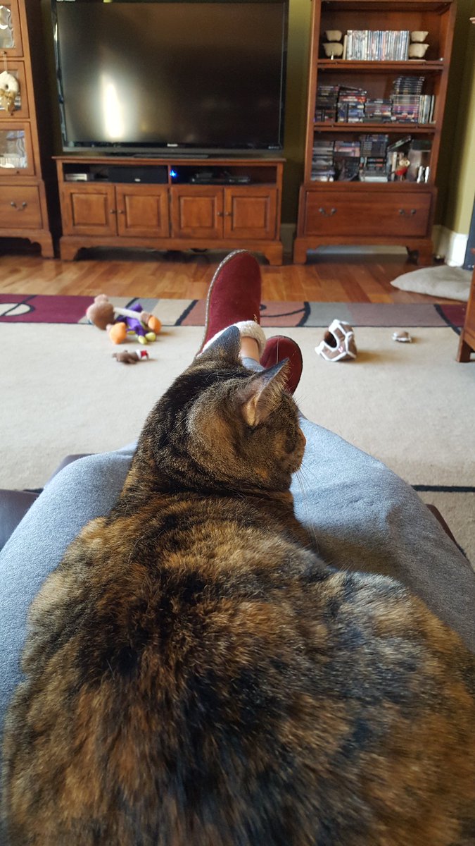 LinderlooWho's tweet photo. When will I learn to get the TV remote before I sit down? #trappedagain https://t.co/6RkM0NpgWG