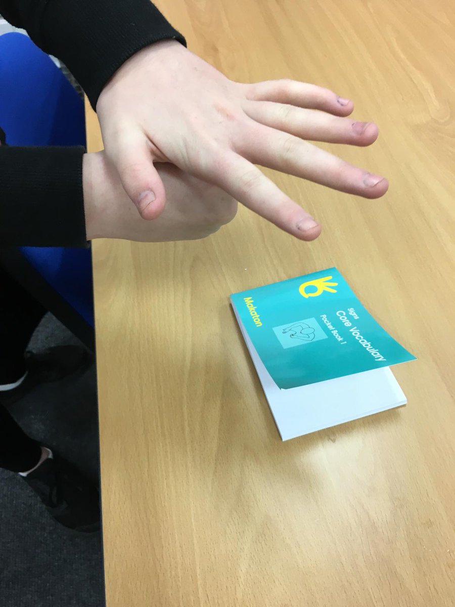 ServiceStirling's tweet photo. Congratulations to our S4 pupils who have completed their foundation makaton qualifications. βπβπβπ#workplacequalifications #dyw #Stirlingloveslearning https://t.co/T8LeUjYaMD