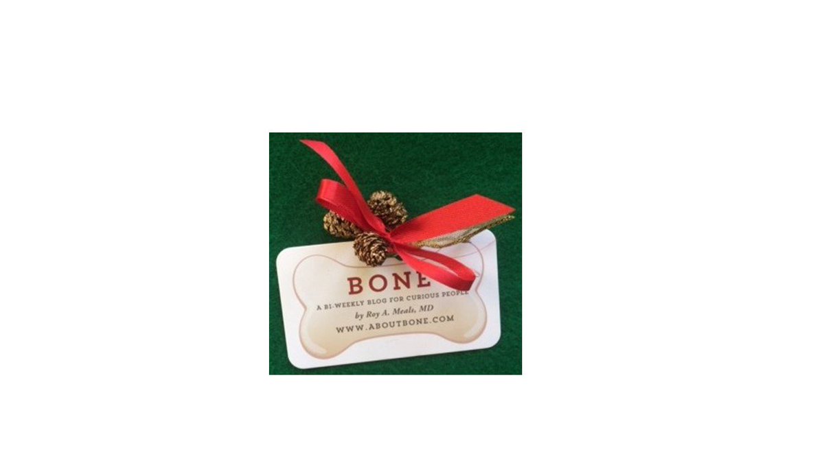Check out the Holiday Gift Guide for Frugal Bone Lovers at aboutbone.com  Happy Shopping. Happy Holidays.
