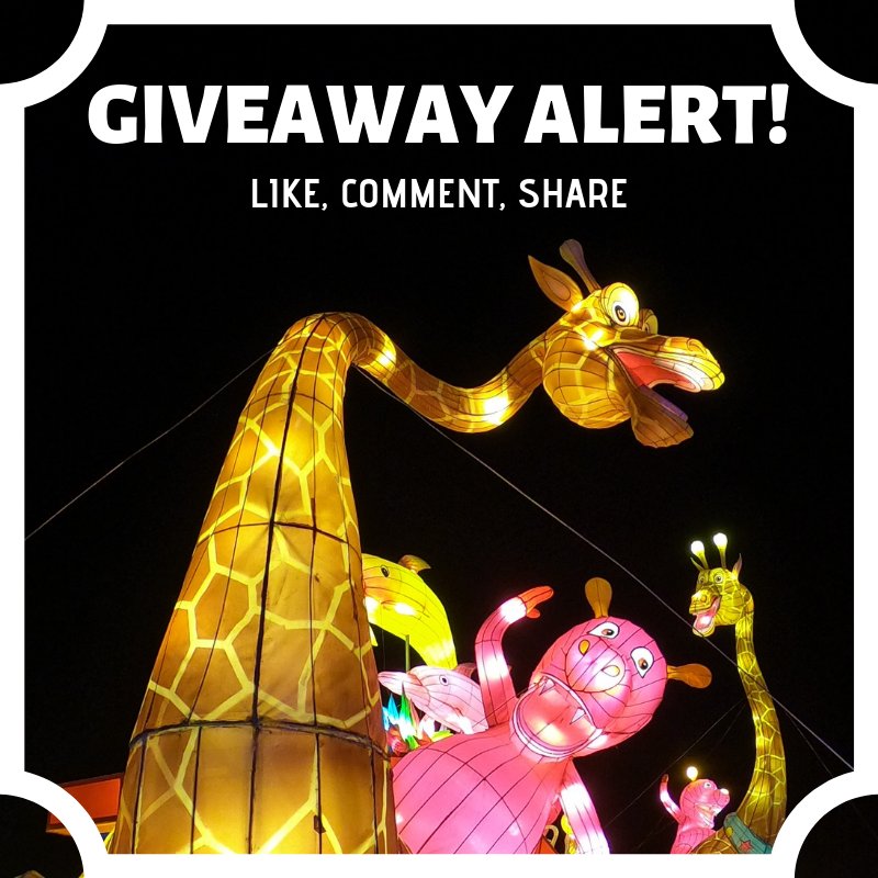 thelightupfest's tweet photo. 🚨 GIVEAWAY ALERT 🚨 Head on over to our Facebook page, https://t.co/WCpnVvcsbb, for the chance to win a giveaway! https://t.co/frodsLn31b